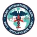 Paris International Care logo